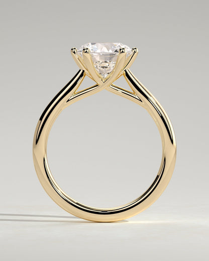 Round Solitaire & Cathedral Lab Grown Diamond Engagement Ring